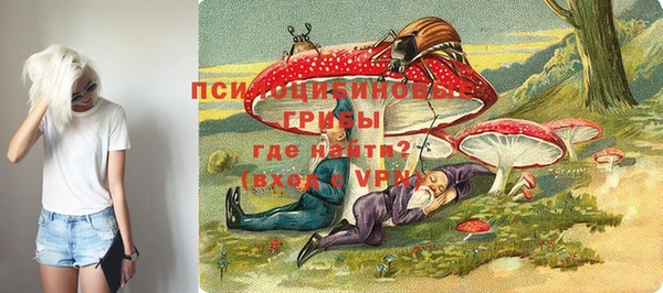 стаф Слюдянка