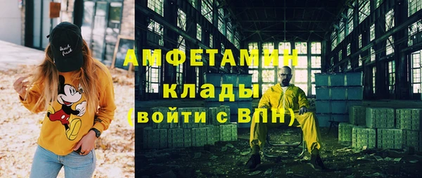шишки Снежногорск