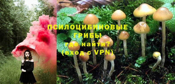 дмт Баксан