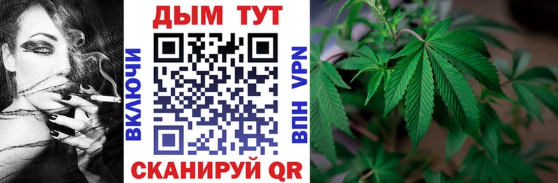 Канабис Bruce Banner  блэк спрут ТОР  Бирюч  купить закладку 
